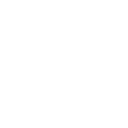 VEXUS