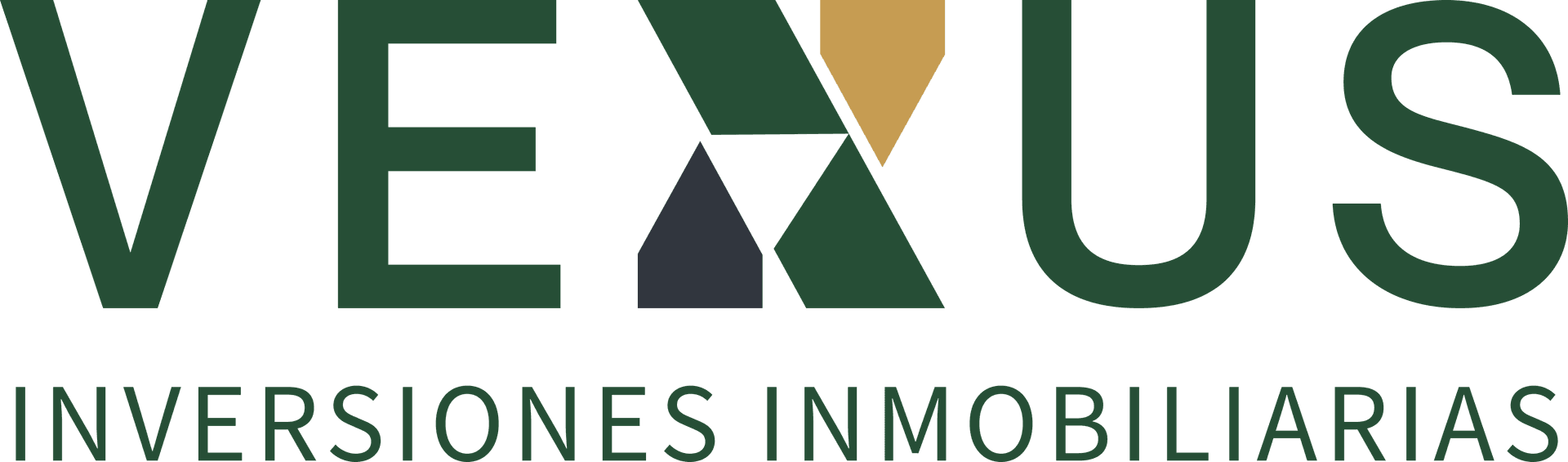 VEXUS Inversiones Inmobiliarias