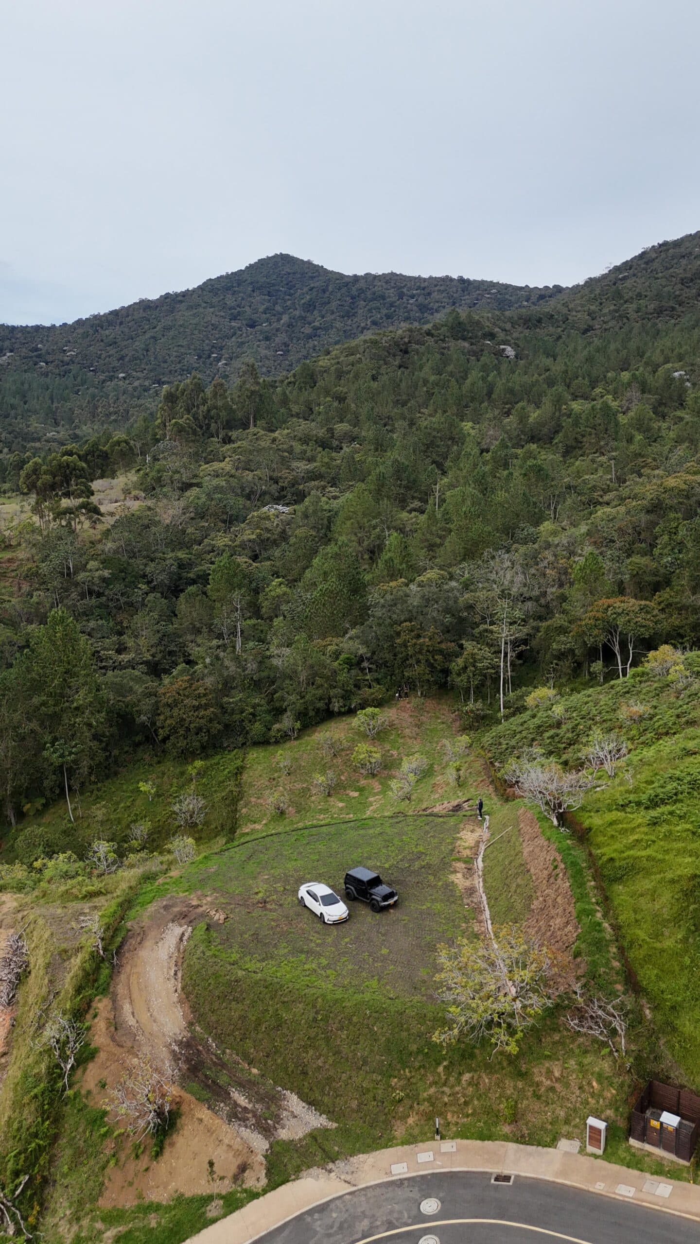 Lote en Reserva Silvestre - imagen 3