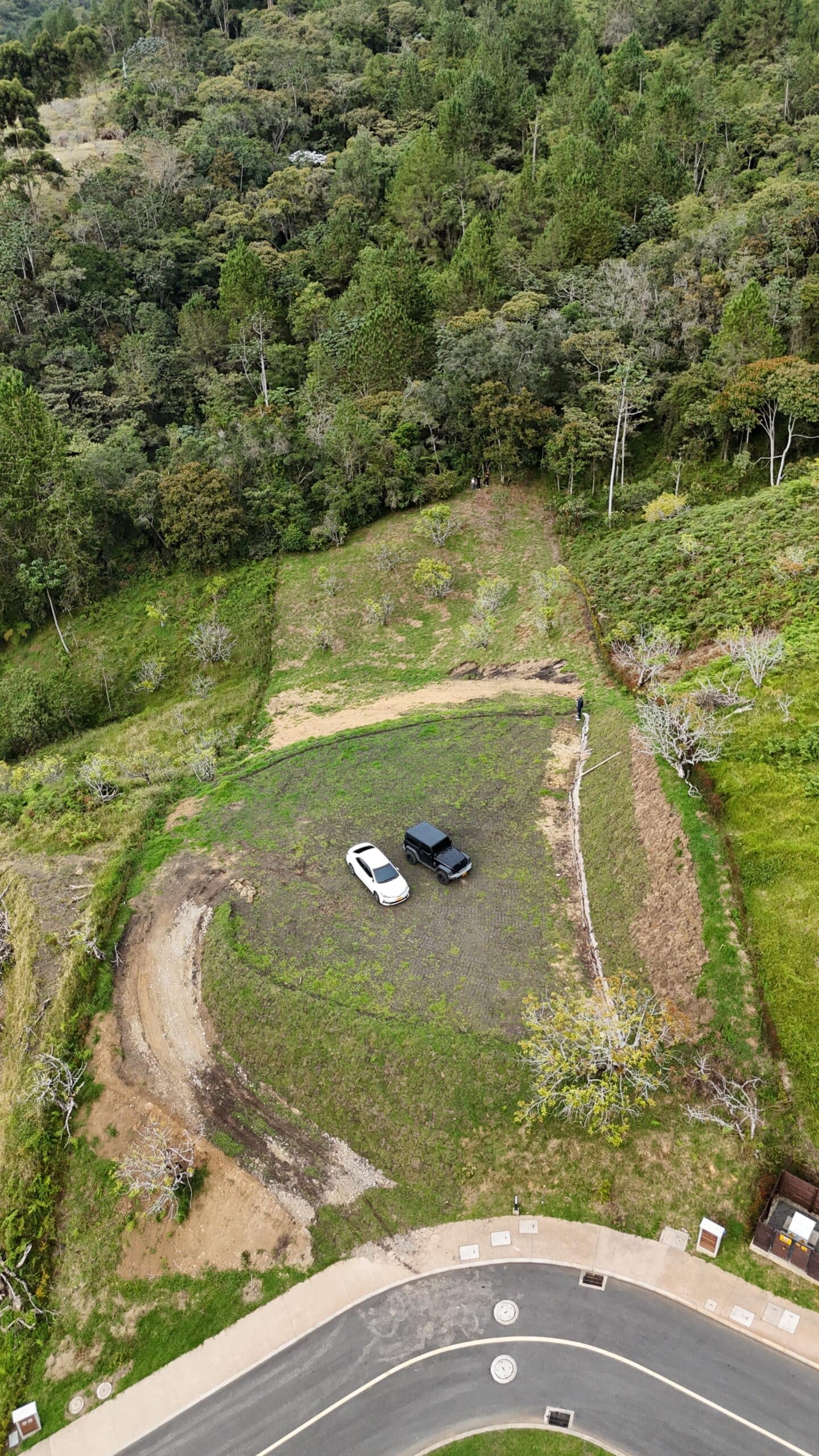 Lote en Reserva Silvestre - imagen 7